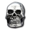 Skull H7157